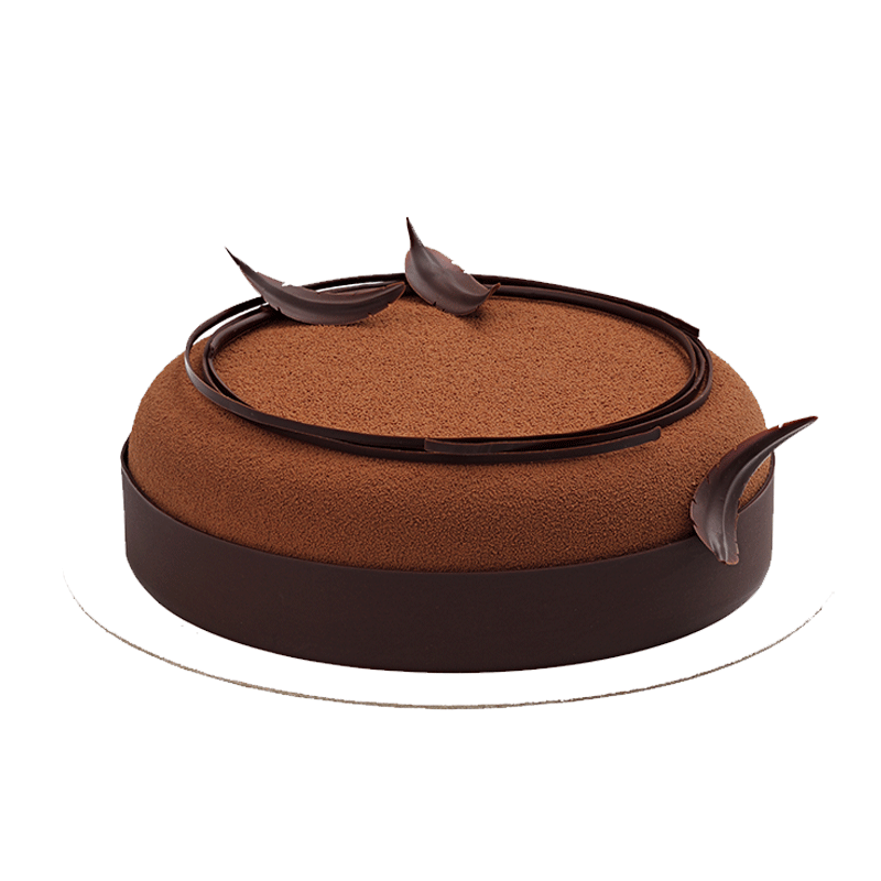 Blooma Special Cake